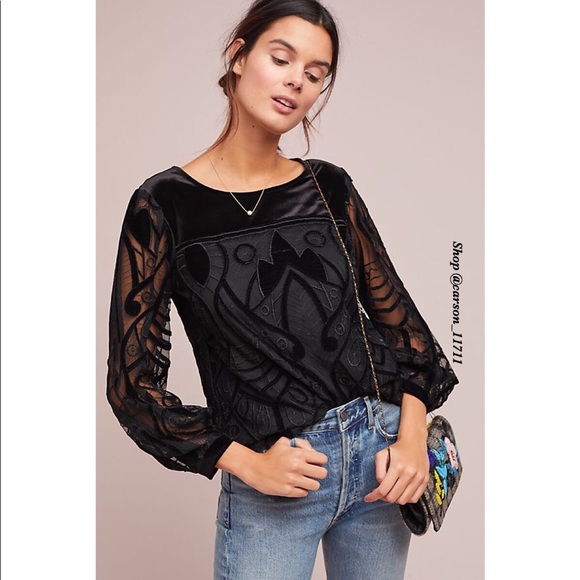 Anthropologie Tops - 🦄RARE NWT Anthropologie Velvet Patterned Top